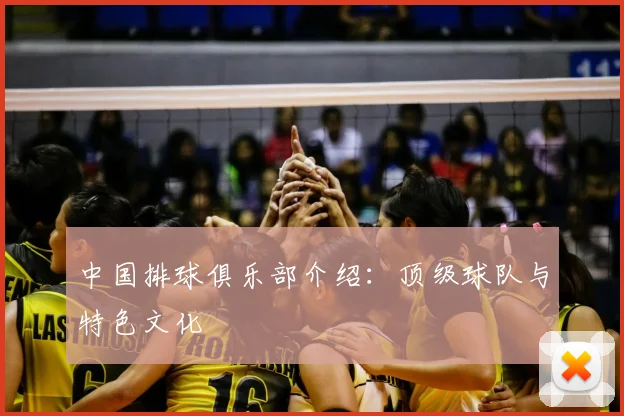 中国排球俱乐部介绍：顶级球队与特色文化