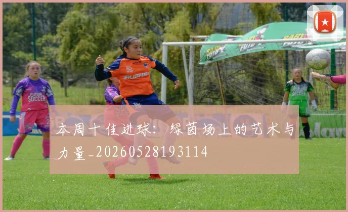 本周十佳进球：绿茵场上的艺术与力量_20260528193114