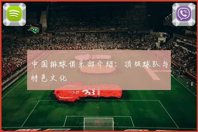 中国排球俱乐部介绍：顶级球队与特色文化
